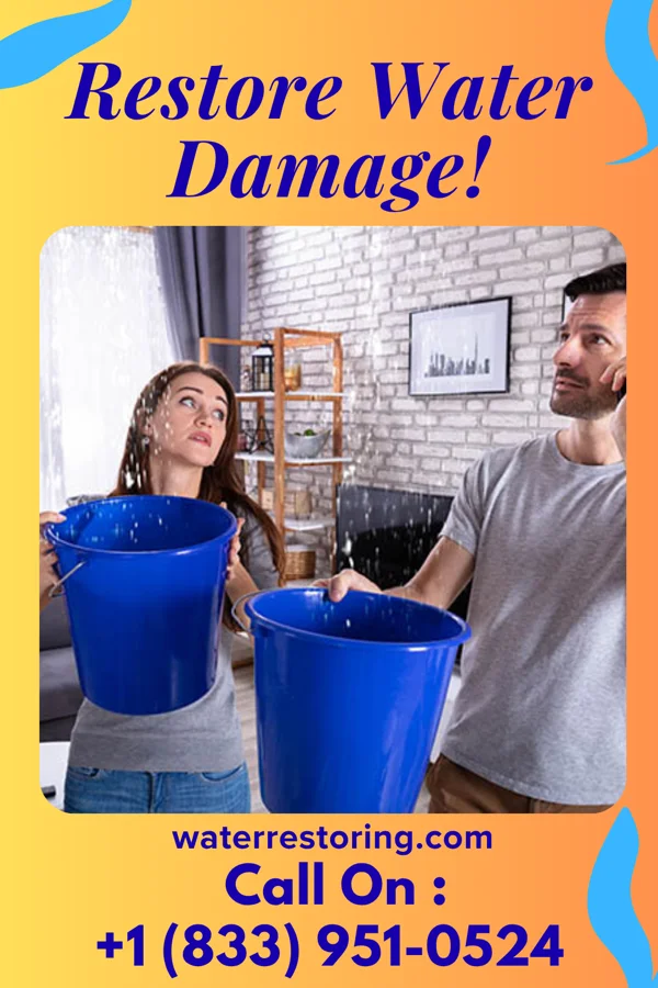 water restoration Superior Water Solutions Services Arlington