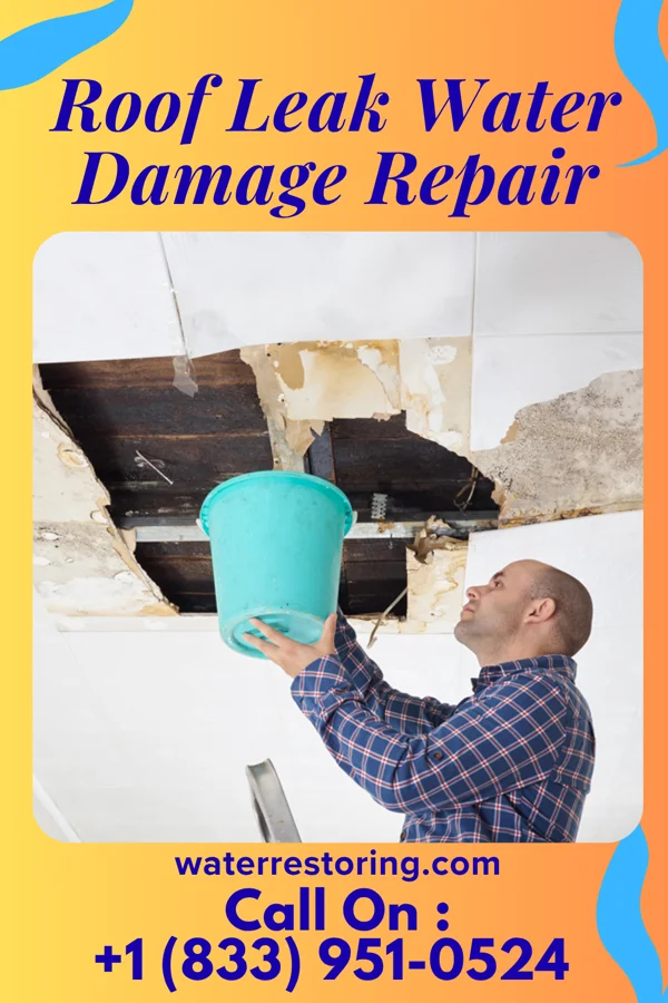 Roof Leak Water Damage Repair in Arlington, IA