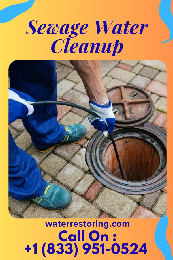Sewage Water Cleanup in Arlington, IA